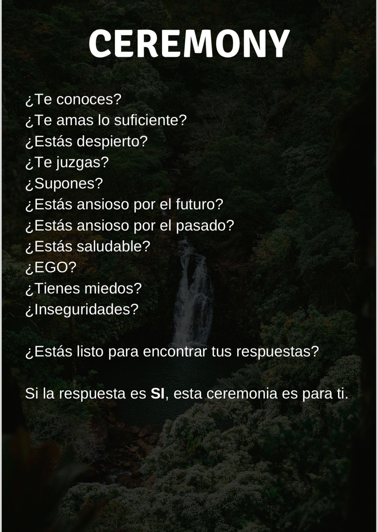 EXPERIENCIA WIGONA ✊🏼