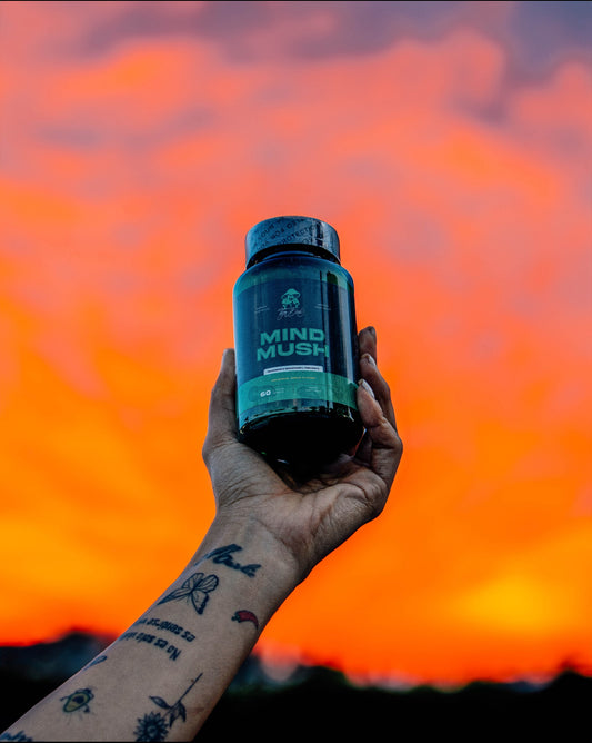 Mind Mush Gummies| Melena de león + Magnesio L-Threonate | Suplemento diario