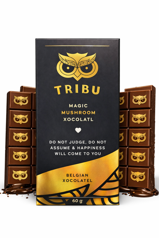 TRIBU Night Mushrooms Chocolate bar – Mushroom Blend with Reishi, L-Theanine, Magnesium & Lion’s Mane | Relaxation & Evening Ritual | Premium Dark Chocolate