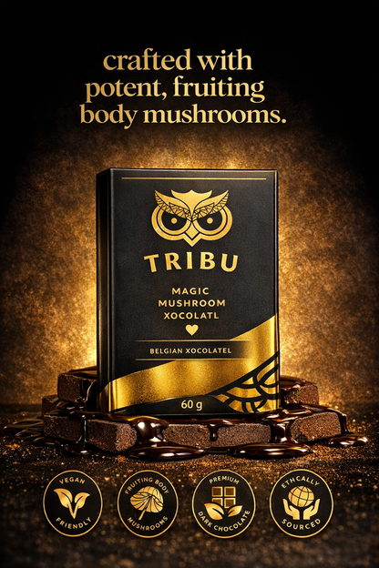 Chocolate negro | Belgium Chocolate