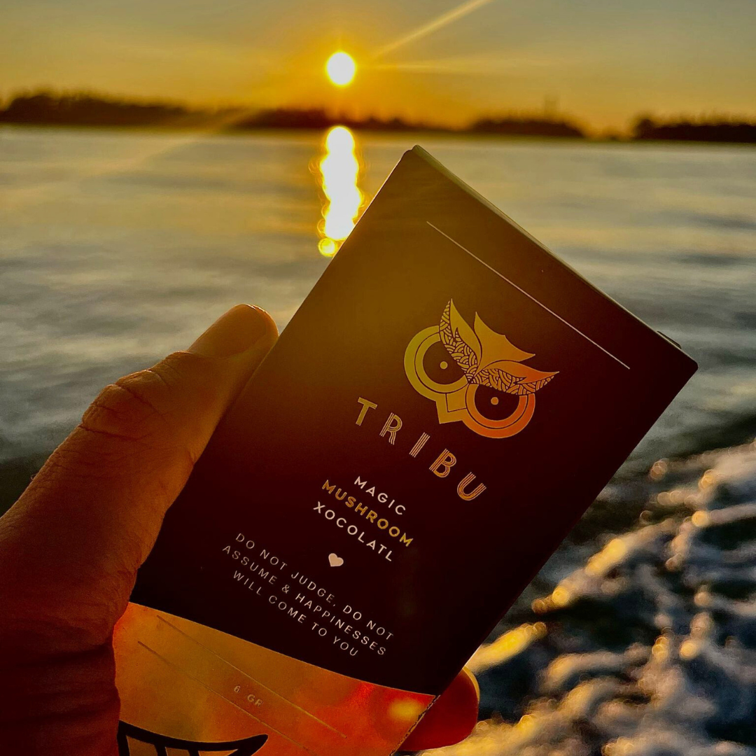 Chocolate negro | Belgium Chocolate