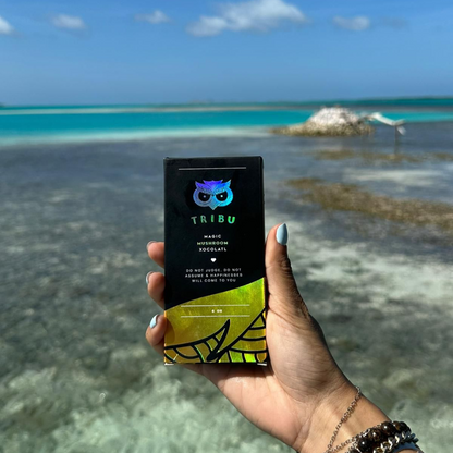 Chocolate negro | Belgium Chocolate