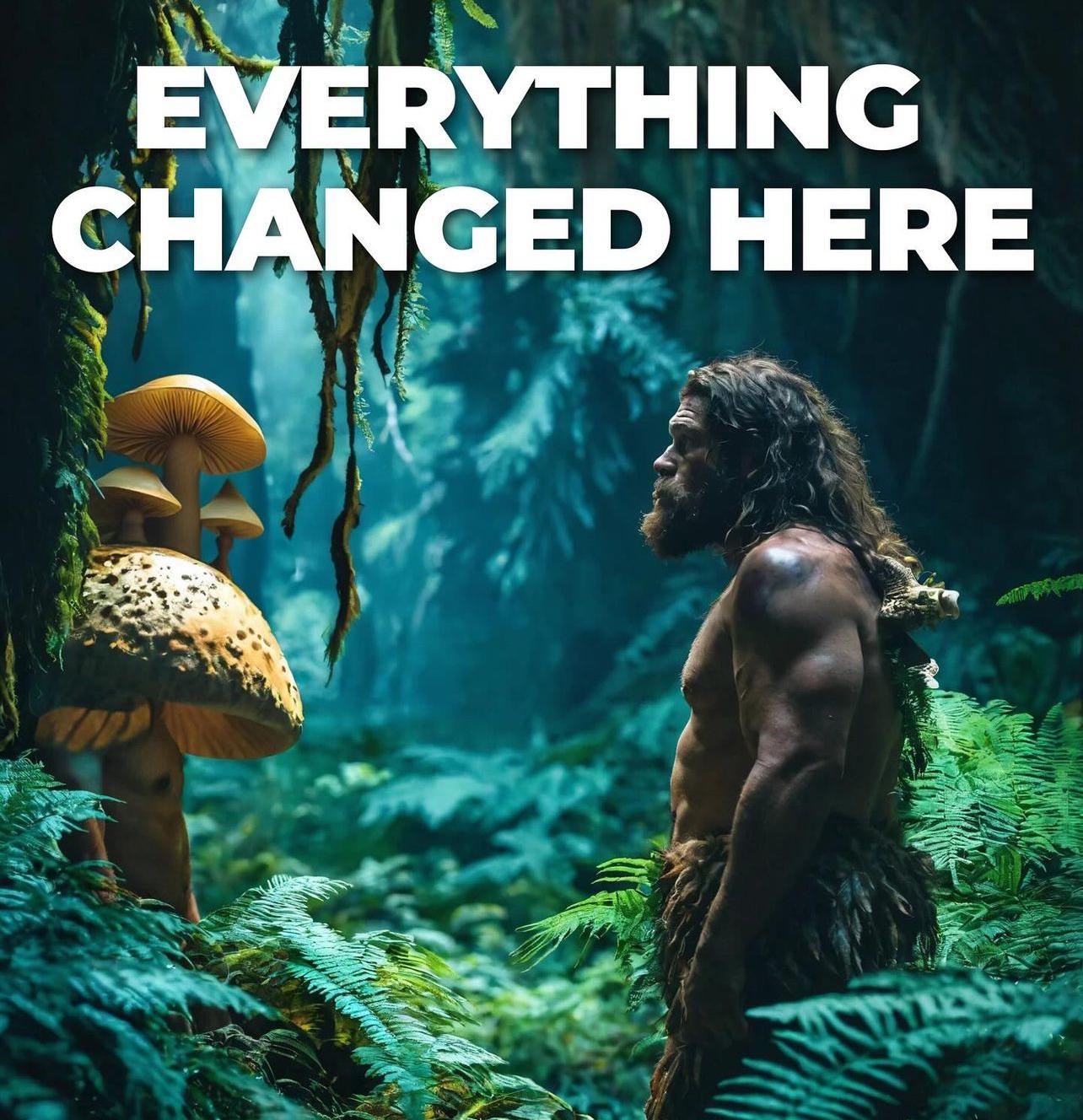 EXPERIENCIA WIGONA ✊🏼