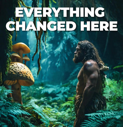 EXPERIENCIA WIGONA ✊🏼