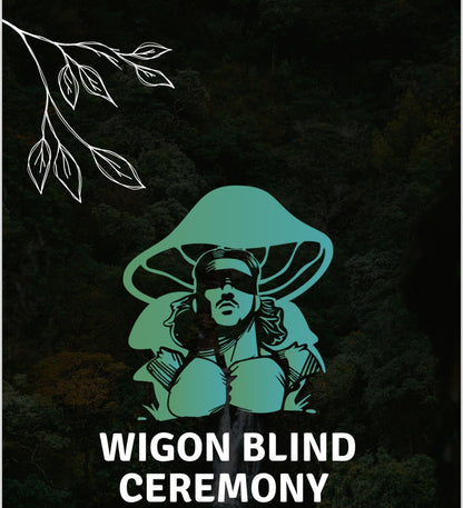 EXPERIENCIA WIGONA ✊🏼