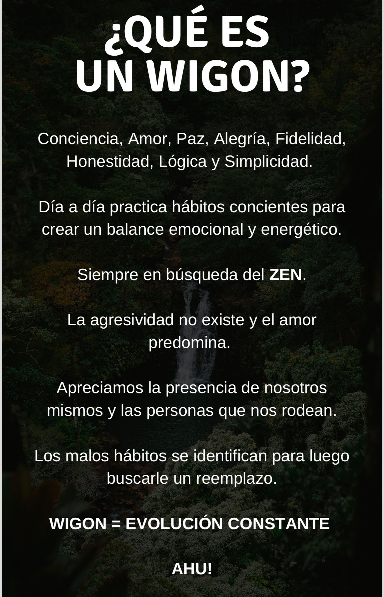 EXPERIENCIA WIGONA ✊🏼