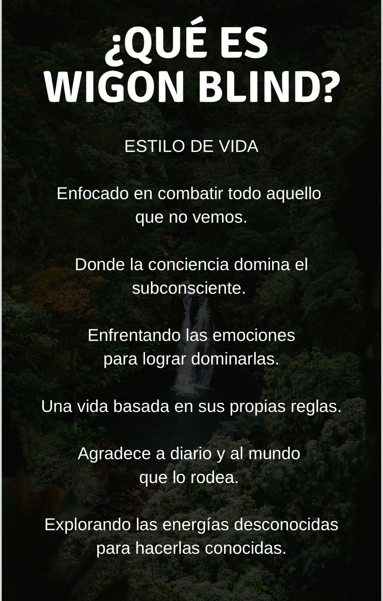 EXPERIENCIA WIGONA ✊🏼