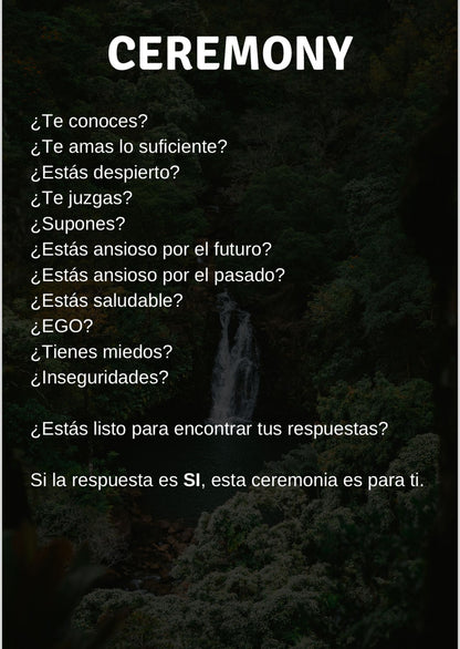 EXPERIENCIA WIGONA ✊🏼